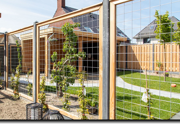 Budget tuinscherm en planken schutting